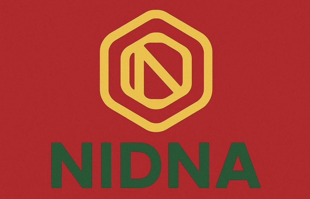 NIDNA – Naissance d’une idée